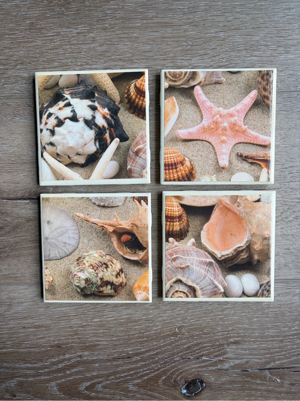 Seashell Coastal Ceramic Coaster Set - Pink, Tan, Cream, Brown